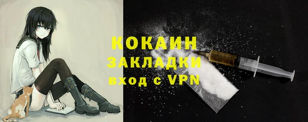 гидра Мегион