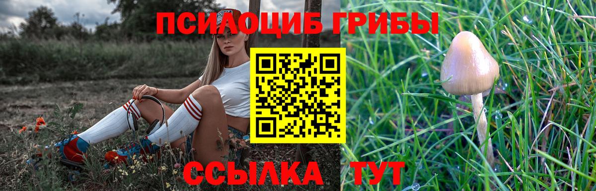 Галлюциногенные грибы Magic Shrooms  Вход с VPN  Петропавловск-Камчатский 